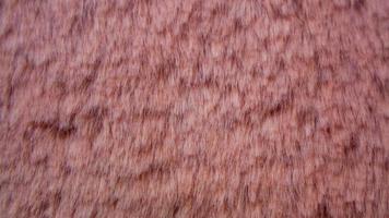 textura de lã rosa como pano de fundo foto