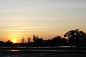 preparação de terra ao pôr do sol à noite para plantio de arroz na tailândia foto