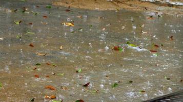 gotas de chuva caindo no chão em karachi paquistão 2022 foto