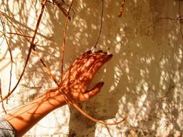 mão de uma mulher à luz do sol em um arbusto seco em karachi paquistão 2022 foto