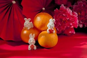 ano novo chinês do conceito de festival de coelho. mandarina, envelopes vermelhos, coelho e lingote de ouro com leques de papel vermelho. feriado tradicional ano novo lunar. caractere chinês cai significa dinheiro. foto