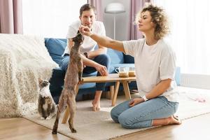 feliz casal caucasiano e seus gatos fofos em casa foto