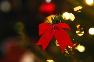 close-up de decorações na árvore de natal foto