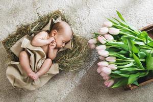 bebezinho está deitado na caixa de madeira e pilha de tulipas cor de rosa foto