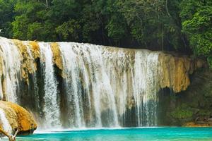 cascata da cachoeira agua azul em chiapas. México foto