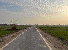 vista aérea com cores cinematográficas de uma plantação de campo na vila do Paquistão bela paisagem do campo de arroz em thathi mianwali foto