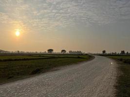 vista aérea com cores cinematográficas de uma plantação de campo na vila do Paquistão bela paisagem do campo de arroz em thathi mianwali foto