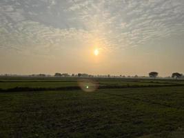 vista aérea com cores cinematográficas de uma plantação de campo na vila do Paquistão bela paisagem do campo de arroz em thathi mianwali foto