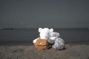 casal de ursinhos de pelúcia sentados na praia ao pôr do sol da noite para cartão postal criado de crianças desaparecidas internacionais, coração partido, solitário, triste, sozinho, boneca fofa indesejada perdida. foto