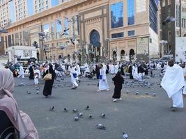 meca, arábia saudita, dezembro de 2022 - pombos no pátio externo de masjid al-haram, meca, arábia saudita comem grãos oferecidos por peregrinos. foto