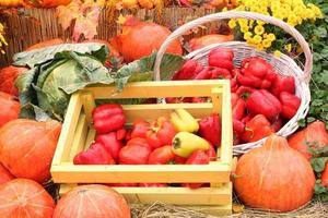 abóbora orgânica e vegetais em caixa de madeira na feira agrícola. colhendo o conceito de tempo de outono. jardim queda planta natural. decoração de halloween de ação de graças. fundo rural de fazenda festiva. comida vegana. foto