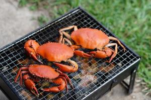 caranguejos grelhados no fogão a carvão para piquenique. conceito, cozinhando para festa ao ar livre. os tailandeses gostam de fazer churrasco de frutos do mar quando fazem uma festa ou comemoração. acampar na fogueira. foto