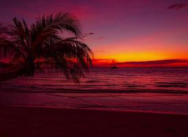 belo pôr do sol com palmeira na praia tropical vista para o mar no fundo foto