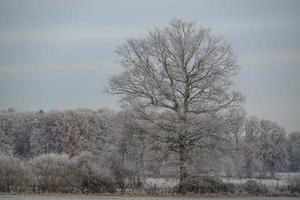 inverno na alemanha foto