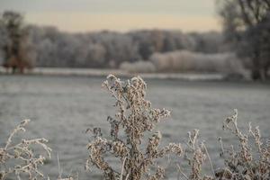 inverno na alemanha foto