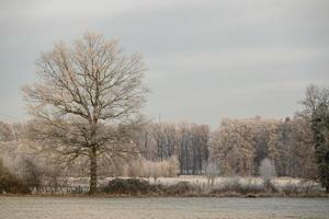 inverno na alemanha foto