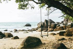 velho balanço pendurado na árvore na praia rochosa desolada. foto