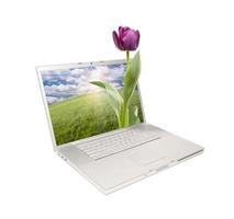 laptop de computador prateado isolado com tulipa foto