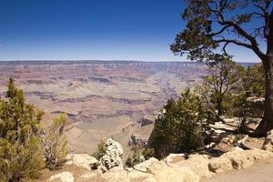 bela vista da paisagem do grand canyon foto