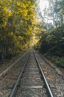 uma bela estrada de ferro na floresta. foto