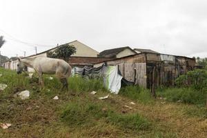 planltina, goias, brasil 17 de dezembro de 2022 as condições de habitação extremamente precárias em planaltina e em todo o brasil. foto