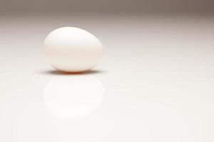 ovo branco em fundo graduado foto