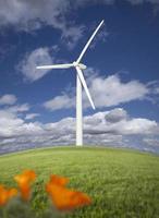 turbina eólica contra céu dramático e papoulas da Califórnia foto