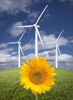 turbinas eólicas contra céu dramático com girassol brilhante foto
