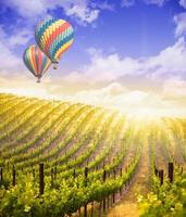 balões de ar quente voando sobre belo vinhedo de uva verde foto
