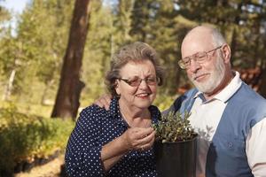 atraente casal sênior com vista para vasos de plantas foto