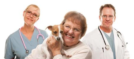 mulher sênior feliz com cachorro e equipe veterinária foto