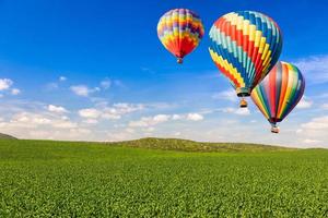 balões de ar quente sobre paisagem verdejante e céu azul foto