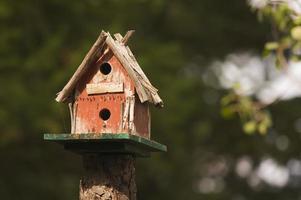 casa de passarinho rústica ao ar livre foto