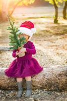menina bonita de raça mista se divertindo com chapéu de papai noel e árvore de natal ao ar livre no log foto