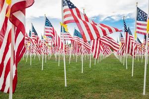 campo de bandeiras americanas do dia dos veteranos balançando na brisa. foto