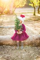 menina bonita de raça mista se divertindo com chapéu de papai noel e árvore de natal ao ar livre no log foto