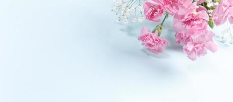 banner com cravos delicados rosa e gypsophila em pano de fundo azul claro. copie o espaço. foto