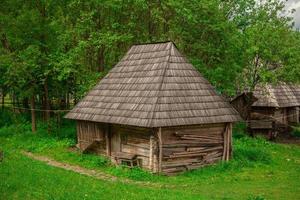 velha casa de madeira na floresta foto