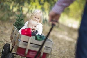 irmão e irmã bebê puxados em carroça com árvore de natal foto
