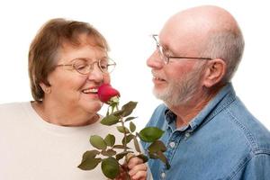 feliz casal sênior com rosa vermelha foto