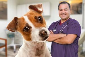 retrato de um adorável jack russell terrier no escritório com veterinário hispânico masculino atrás foto