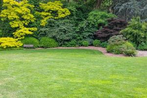 belo cenário de jardim verde com banco de madeira foto