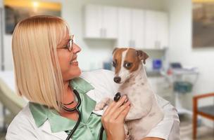 veterinária médica com cachorrinho no escritório foto