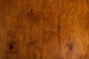 textura de fundo de madeira marrom vintage com nós e furos de prego. parede de madeira pintada velha. abstrato marrom. placas horizontais escuras de madeira vintage. foto