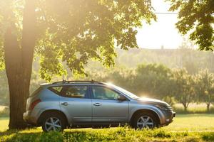 carro debaixo de uma árvore foto