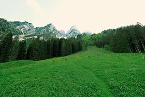 fonte de água limpa da montanha em vorderer gosausee, gosau, alta áustria. foto