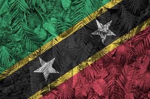 Bandeira de São Cristóvão e Nevis retratada em muitas folhas de palmeiras monstera. pano de fundo na moda foto