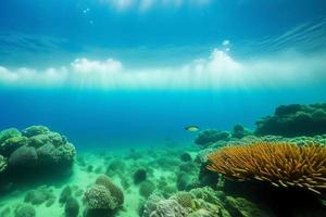 cena subaquática. oceano recife de coral debaixo d'água. mundo do mar sob fundo de água. foto