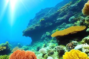 cena subaquática. oceano recife de coral debaixo d'água. mundo do mar sob fundo de água. foto