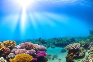 cena subaquática. oceano recife de coral debaixo d'água. mundo do mar sob fundo de água. foto